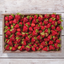 Pfälzer Erdbeeren