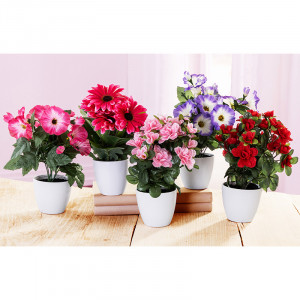 /ext/img/product/angebote/25_06_02/300_deko-bluehpflanzen_699_1.jpg
