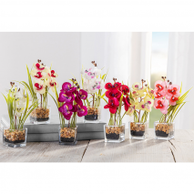 Deko-Orchidee