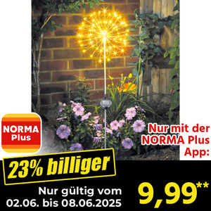 /ext/img/product/angebote/25_06_02/cpn_200_led-solar-leuchte_wo_1.jpg