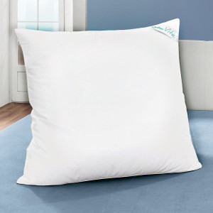 /ext/img/product/angebote/25_06_04/400_3-kammer-kopfkissen_wo_1.jpg