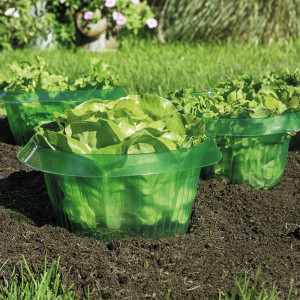 /ext/img/product/angebote/25_06_10/100_schneckenschutzringe_wo_1.jpg