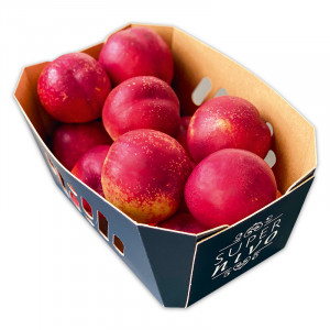 /ext/img/product/angebote/25_06_10/1500_nektarinen_wo_1.jpg