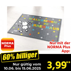 /ext/img/product/angebote/25_06_10/200_fussmatte_wo_1.jpg