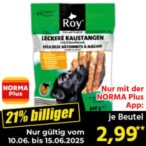 Kaustangen