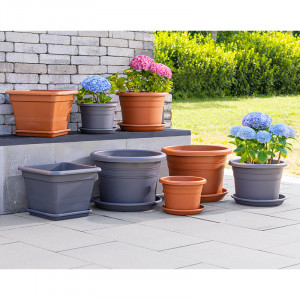 /ext/img/product/angebote/25_06_16/200_blumentopf-pflanzgefaess_599_1.jpg