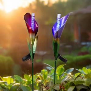 /ext/img/product/angebote/25_06_16/200_led-solar-gartenstecker_wo_1.jpg