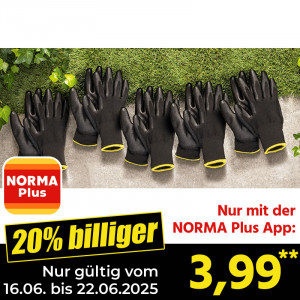 /ext/img/product/angebote/25_06_16/200_multifunktionshandschuhe_wo_1.jpg