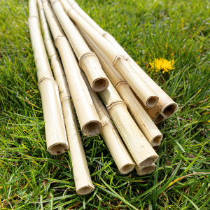 /ext/img/product/angebote/25_06_16/200_xl-bambusstaebe_1.jpg