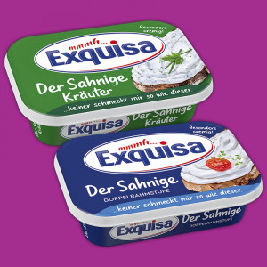 /ext/img/product/angebote/25_06_16/500_frischkaesezubereitung_1.jpg