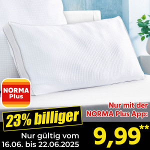 /ext/img/product/angebote/25_06_16/cpn_100_kopfkissen_1399_wo_1.jpg