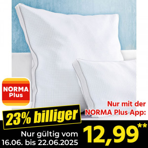/ext/img/product/angebote/25_06_16/cpn_100_kopfkissen_1799_wo_1.jpg