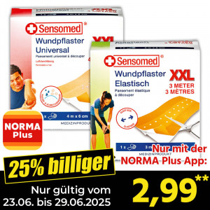 /ext/img/product/angebote/25_06_23/1100_pflasterrolle_wo_1.jpg