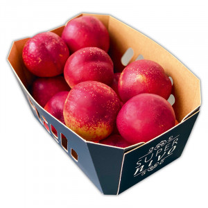 /ext/img/product/angebote/25_06_23/1300_nektarinen_1.jpg