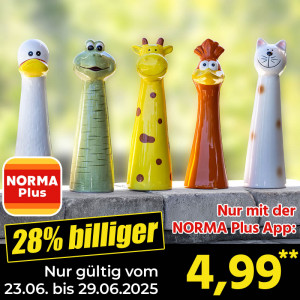 /ext/img/product/angebote/25_06_23/200_lustiger-keramik-gartengucker_wo_1.jpg