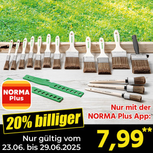 /ext/img/product/angebote/25_06_23/200_pinsel-set_wo_1.jpg