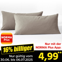 Aloe-Vera Jersey-Kissenbezüge 2er-Set