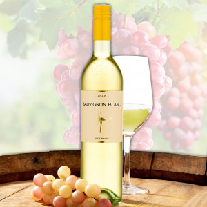 Produktbild »2023 Weingut Fuchs Sauvignon Blanc«