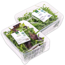 Produktbild »Bio-Salat«