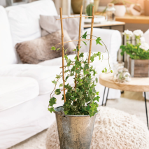 Produktbild »Blumenstütze«