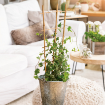 Produktbild »Blumenstütze«
