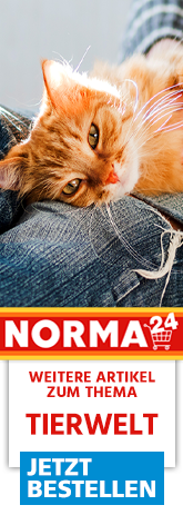 https://www.norma24.de/de/c/tierwelt-3651?utm_source=norma-online&utm_medium=aktion_KW28&utm_campaign=banner_tierwelt_KW28