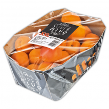 Produktbild »Aprikosen XXL«