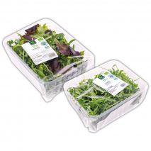 Produktbild »Bio-Salat«