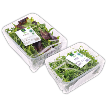 Produktbild »Bio-Salat«