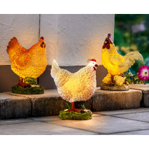 LED-Solar-Huhn