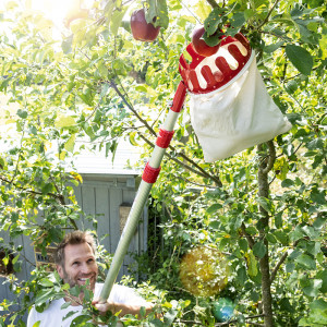 Produktbild »Teleskop-Obstpflücker«