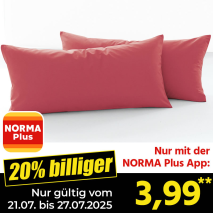 Edel-Renforcé-Kissenbezüge 2er-Set