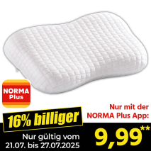 Viskoelastisches Nackenstützkissen Freeze