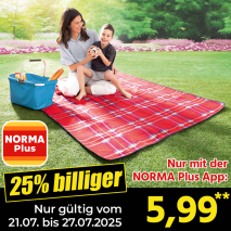 Isolierte Picknickdecke mit Alu-Rückseite