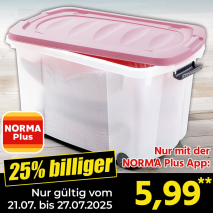 Rollenbox