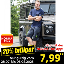 Profi-Arbeitsshorts