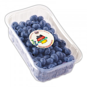 Produktbild »Kultur-Heidelbeeren«
