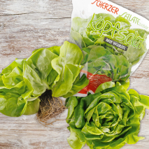 Fränkischer Kopfsalat mit Wurzelballen