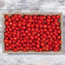 Thüringer Snacktomaten