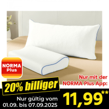 Visko-Nackenstützkissen Cool Me