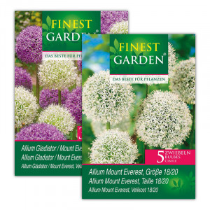 Produktbild »Allium Blumenzwiebeln«