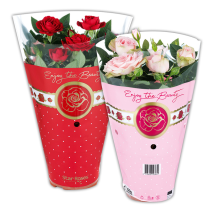 Topfrose