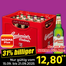 Premium Lager