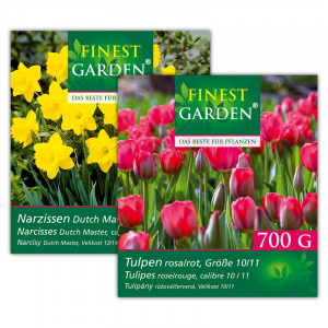 Produktbild »Blumenzwiebeln Narzissen / Tulpen«