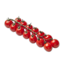 Mini-Rispentomaten