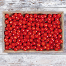 Bayerische Naschtomaten