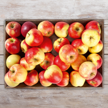 Sächsische Äpfel