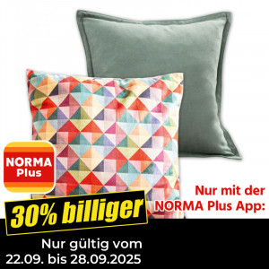 Produktbild »Alle Deko-Kissen und Deko-Füllkissen -30% reduziert«