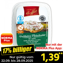 Delikatess Fleischsalat