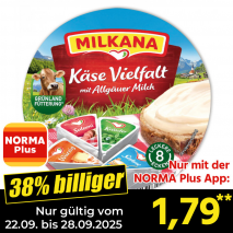 Schmelzkäse